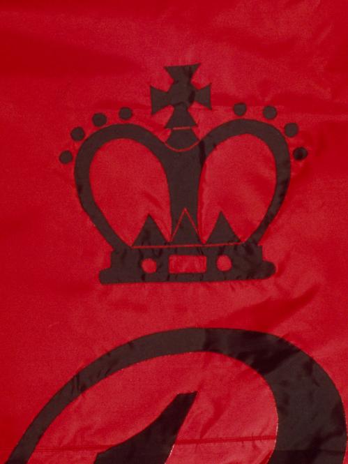 Detail of the crown from Rutgers’ 1766 flag