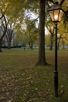 Voorhees Mall Elms Add to Commencement's Ambience | Rutgers University