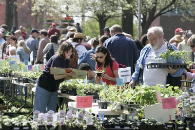 Plantsale