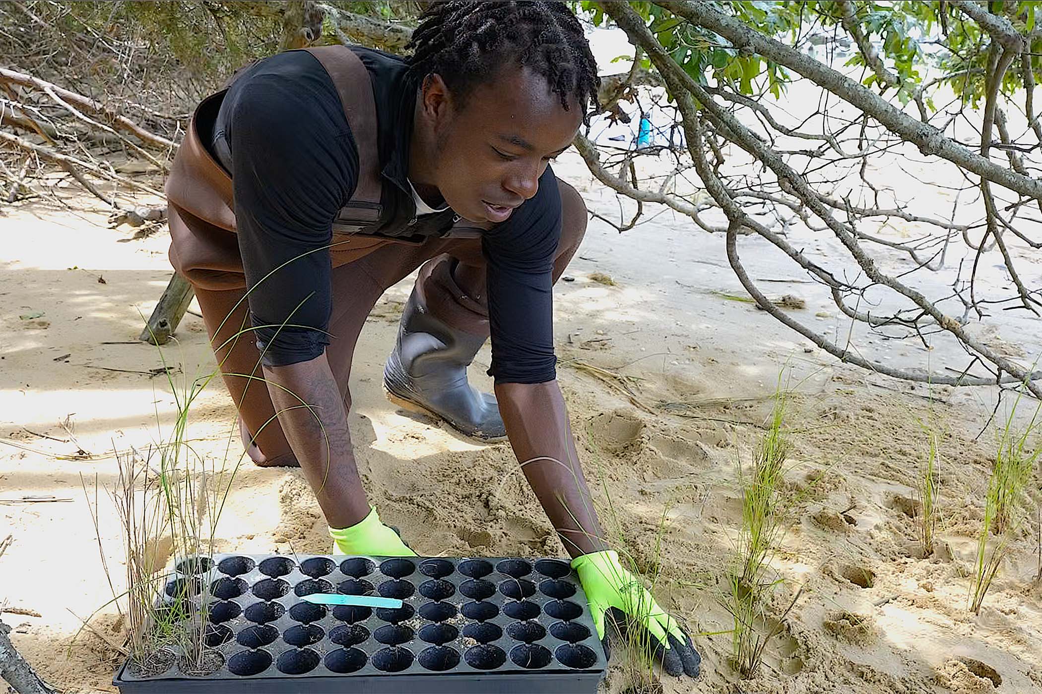 living-shoreline-combats-coastal-erosion-caused-by-sea-level-rise