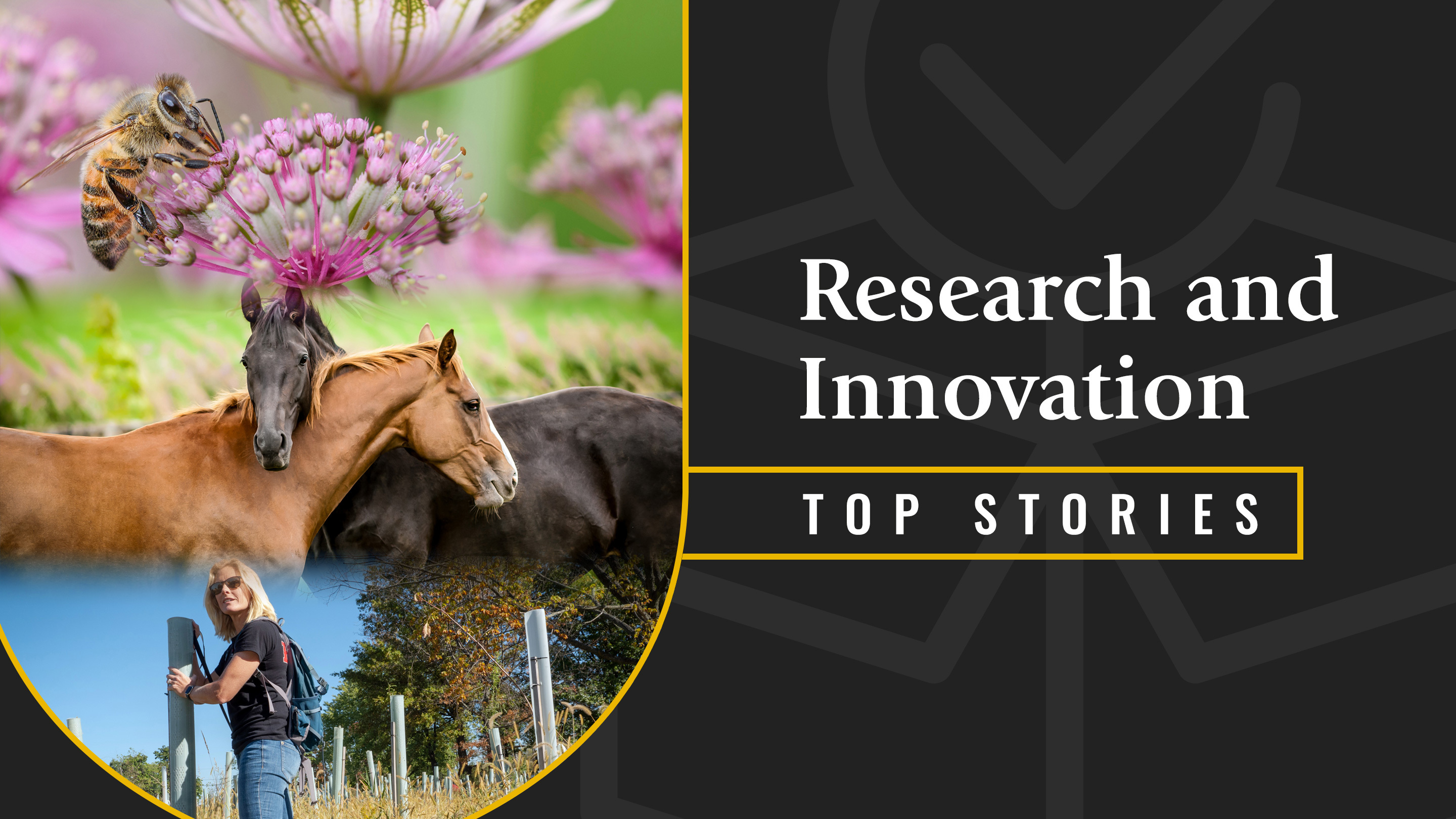 Top Rutgers Research And Innovation Stories Of Rutgers University