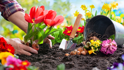 Gardening