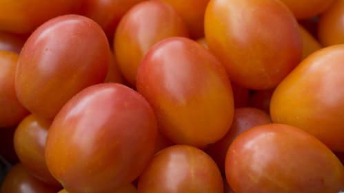 A mound of yellowish red grape tomatoes