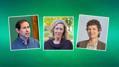 A photo collage featuring headshots of a man and two women with a green background.