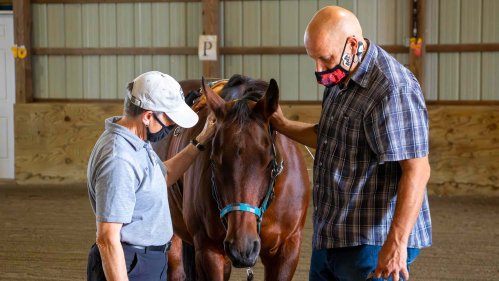 A woman in a white baseball cap stands at left with a man in a plaid blue shirt at right. A brown horse is in between them.