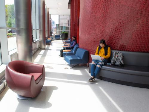 Students studying in the lobby