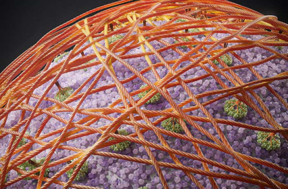 A purple and green globe-like object covered with brown strings