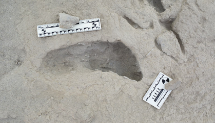 Large fossil footprint