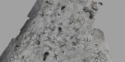 3D model of fossil footprints